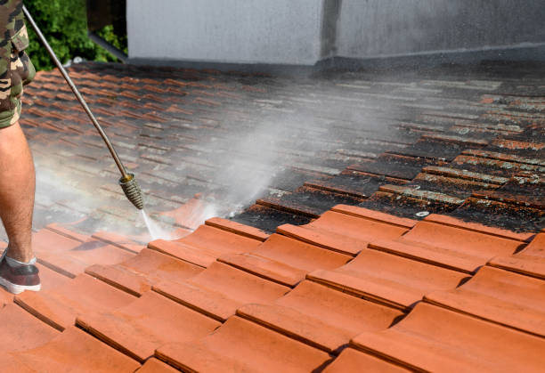 Best Concrete Pressure Washing  in Broad Creek, NC